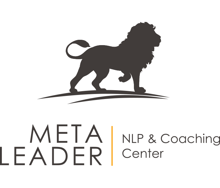 Meta-Leader-logo-standard1[1]